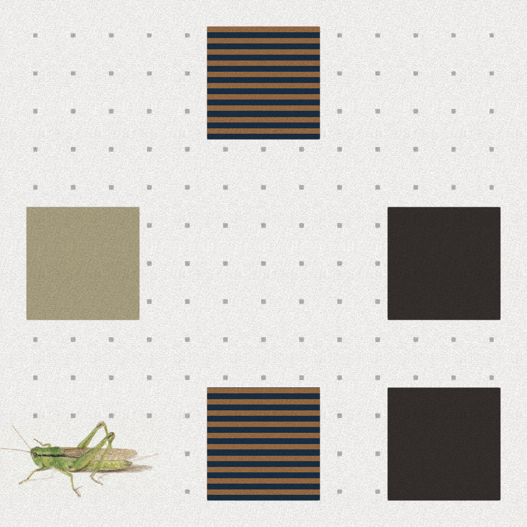 Grasshopper #78 static NFT preview