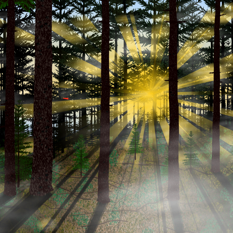 Forest Sunrise #44 static token preview