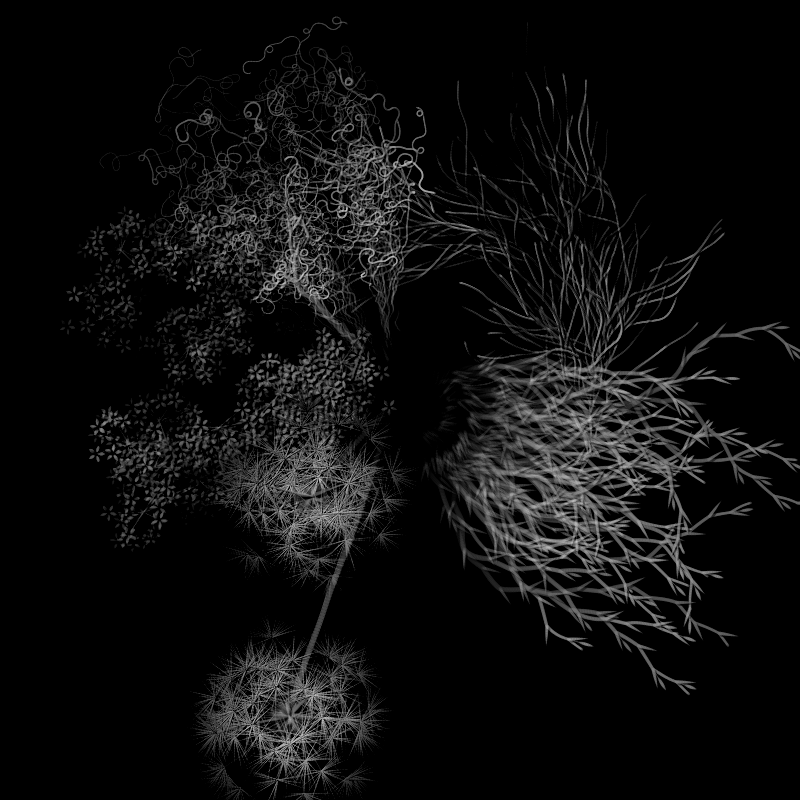 Botanical Ghosts #203 static token preview