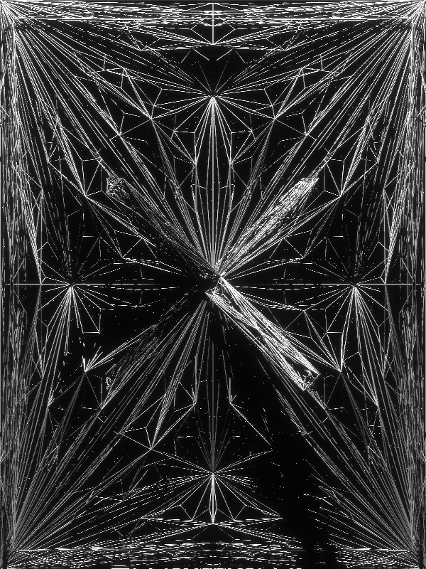 O B S C V R V M #499 static NFT preview