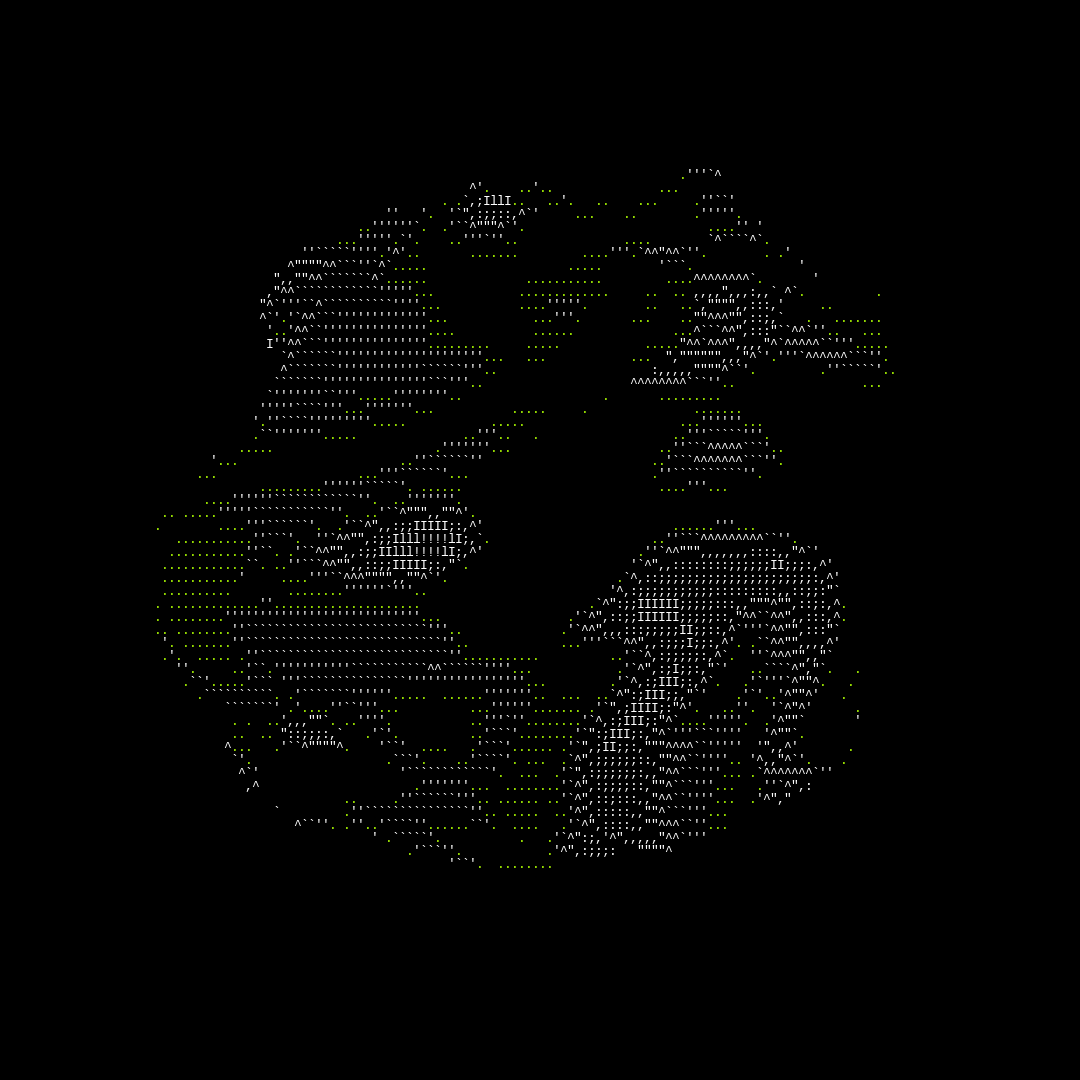 parts of us - ascii #46 static token preview