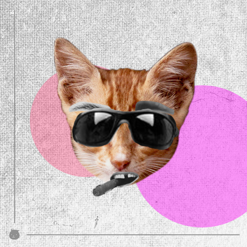 Kittenstein #41 static token preview