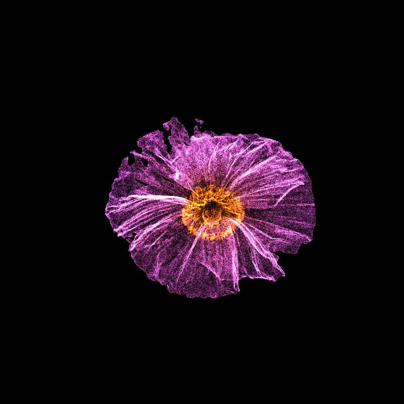 White Poppy 30 #36 static token preview