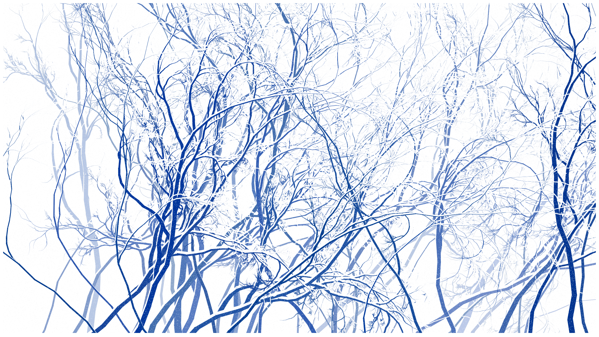 SCHNEEWALD #65 static NFT preview
