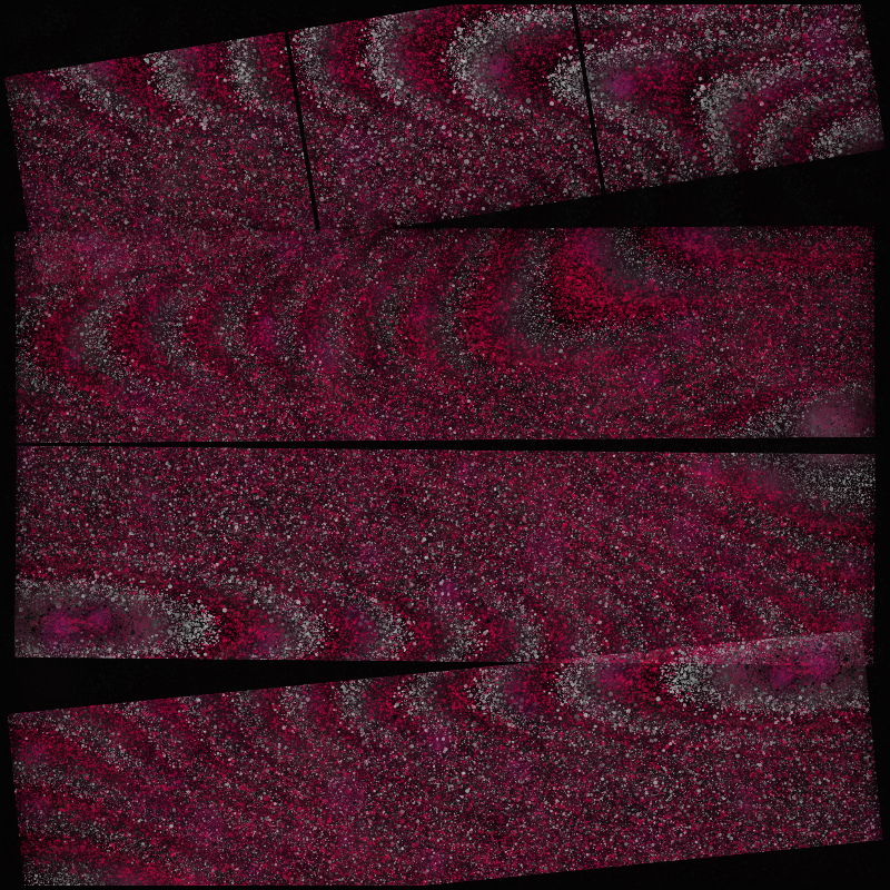 Boundary Conditions #264 static NFT preview