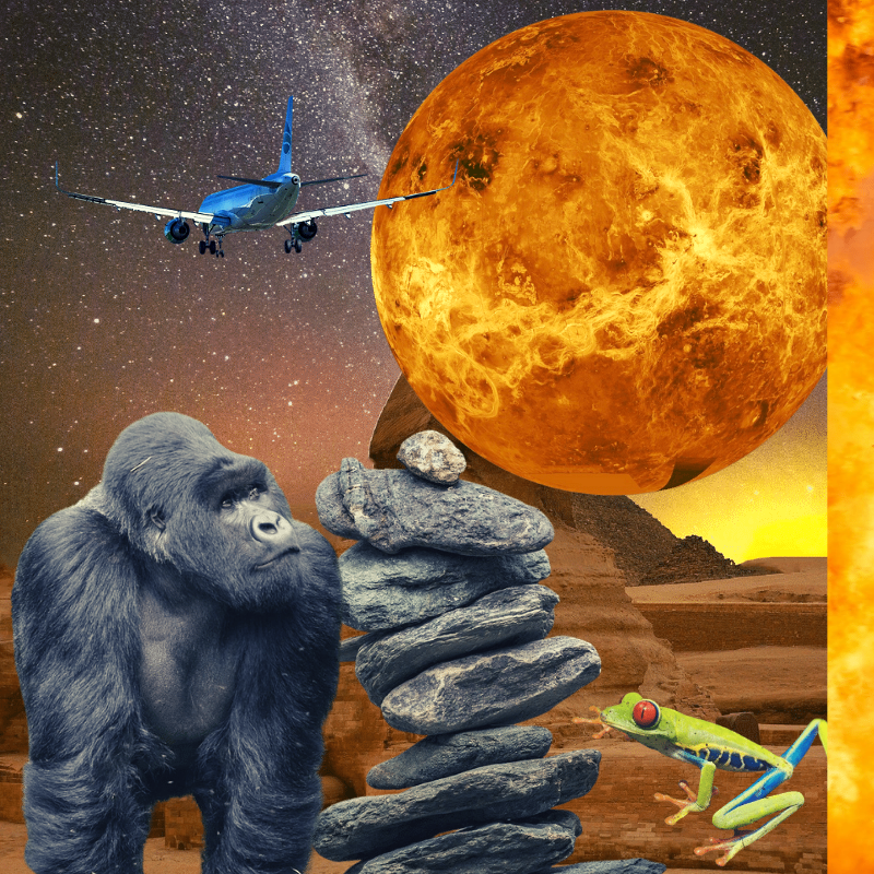 Banana & Pepe on mysterious trips #1 static token preview