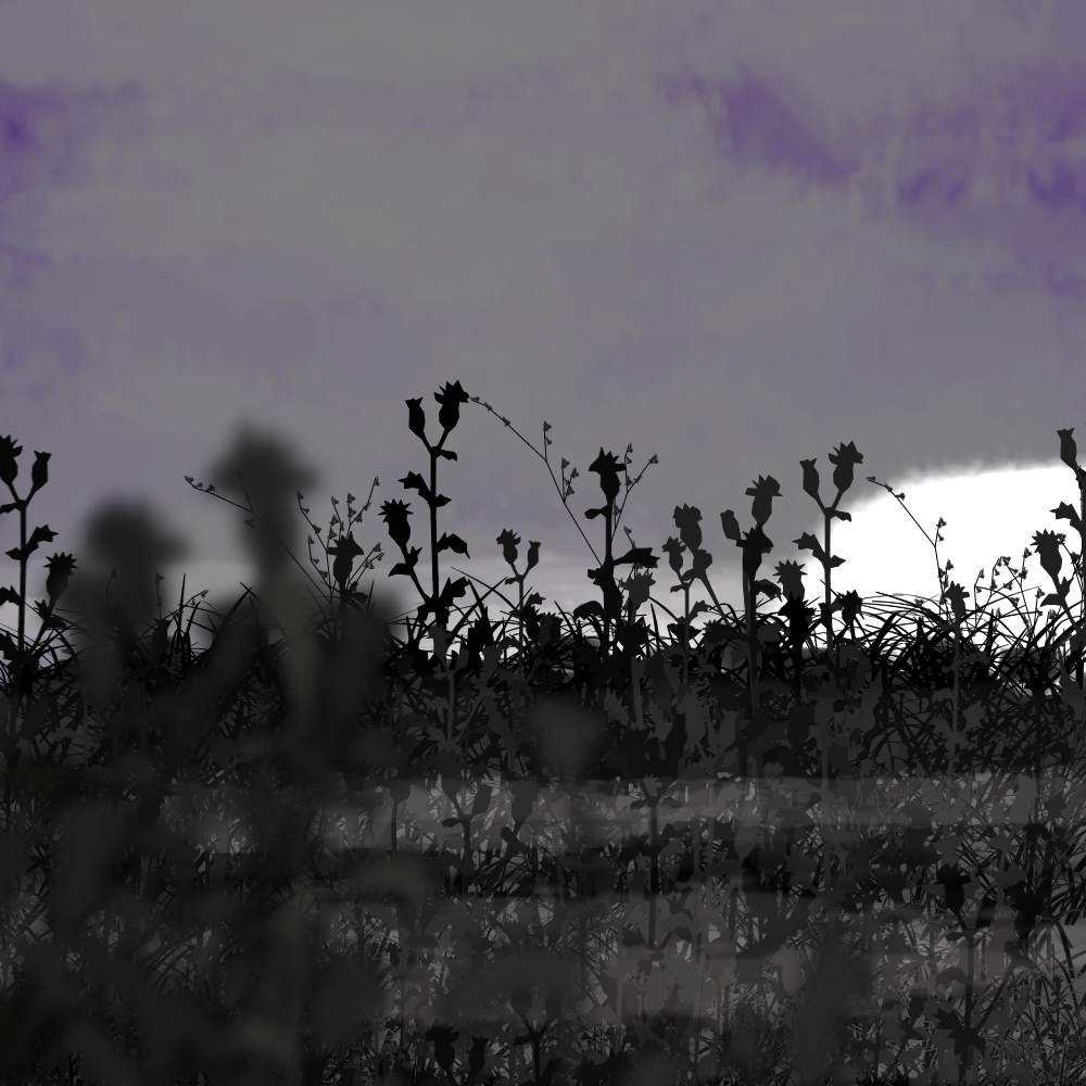 Walk in the field #38 static token preview
