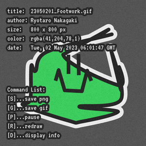 23050201_Footwork.gif project preview