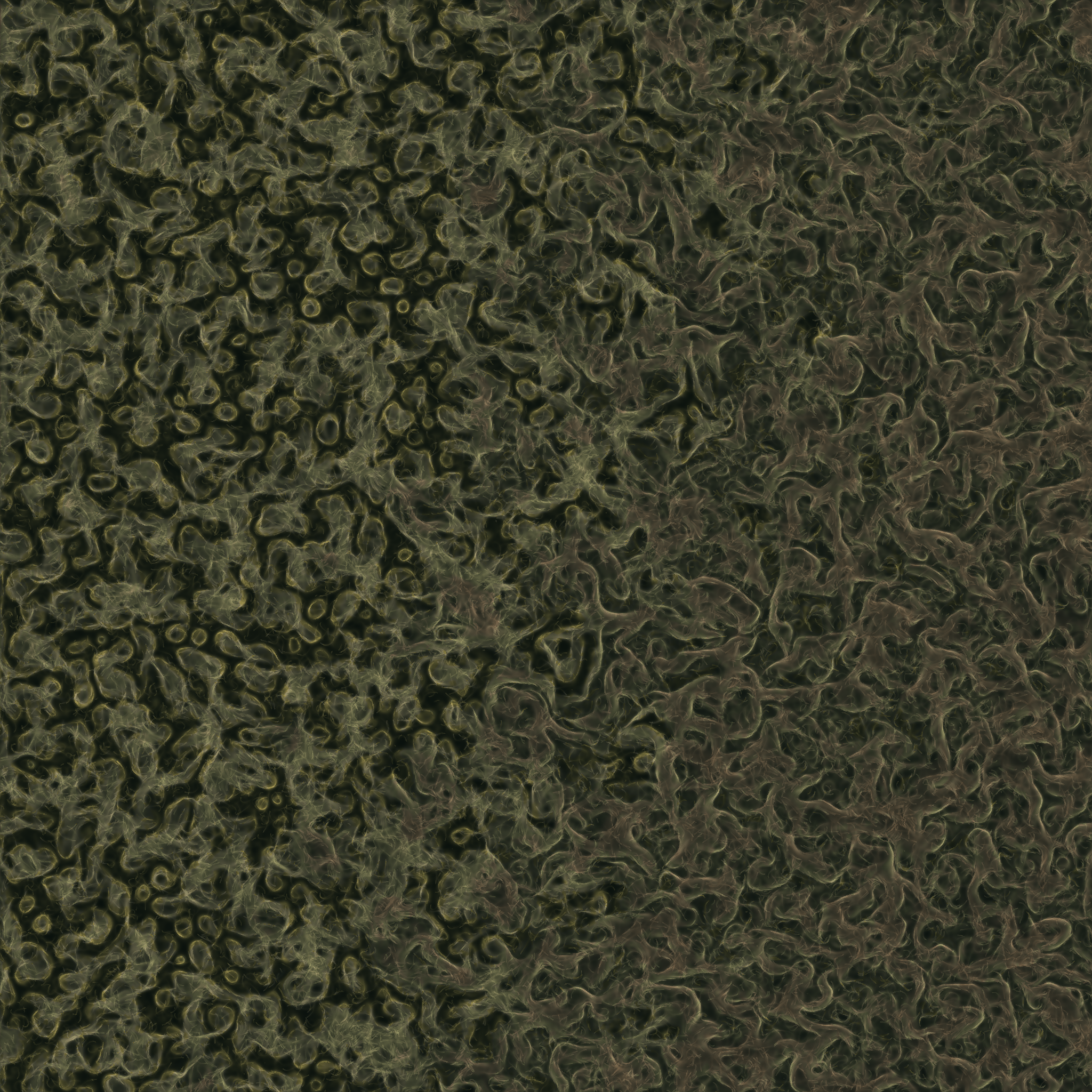 saprophyte #238 static NFT preview