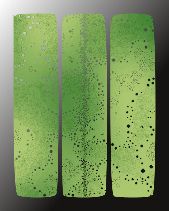 Perforations #77 static token preview