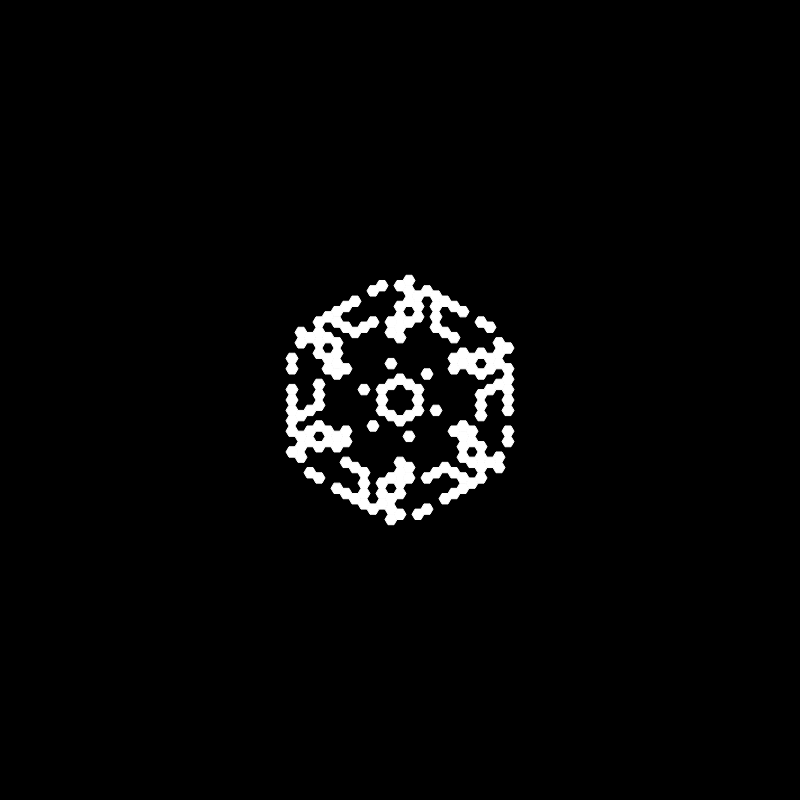 Snowflake #41 static token preview