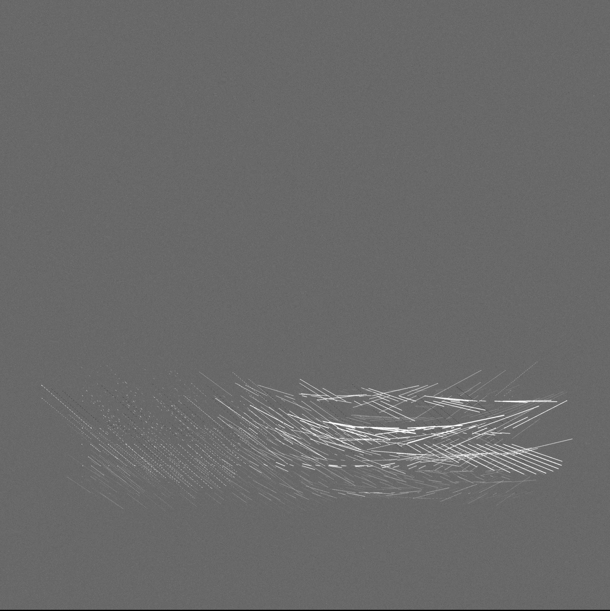 ecologías - A #1340 static NFT preview