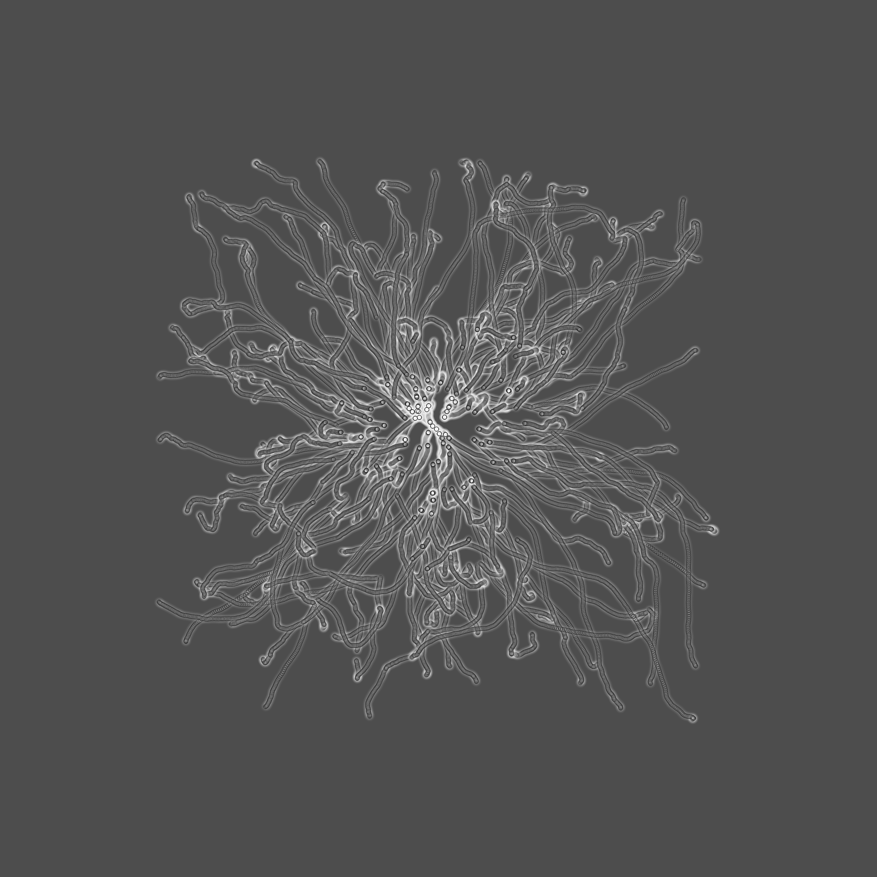 grey fungi wisdom #68 static token preview