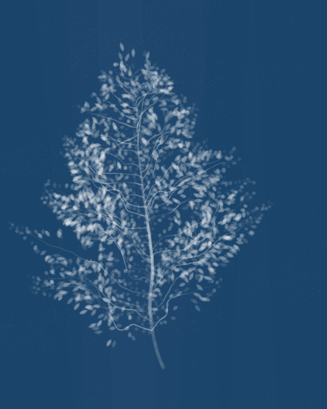 Cyanotypes #36 static NFT preview