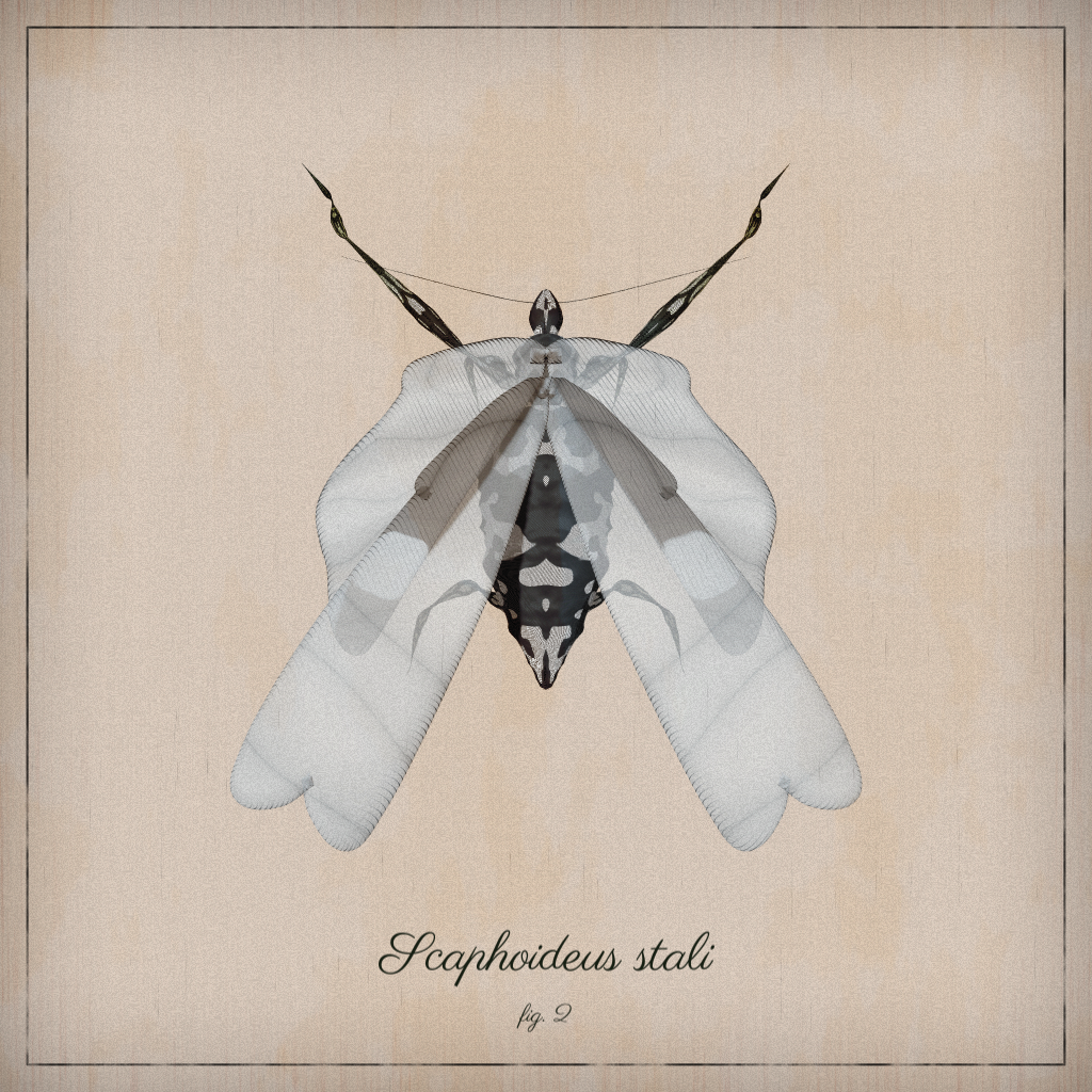 ProcGen Entomology #278 static NFT preview