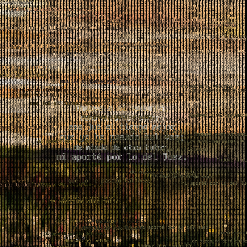 A hacker in the Pampas #107 static token preview