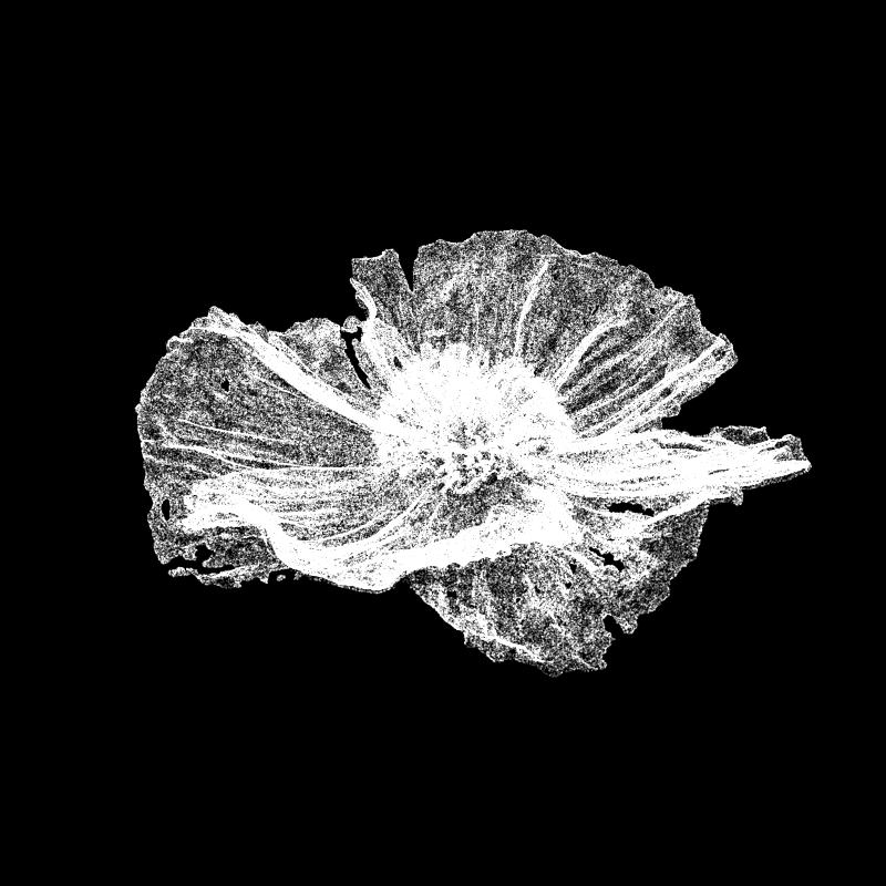 White Poppy 30 #67 static token preview