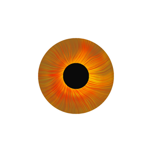 FX(eyes) - Experiment w/ Fractals project preview