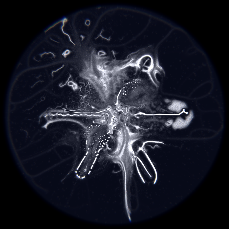 Ethereal Microcosm #153 static NFT preview