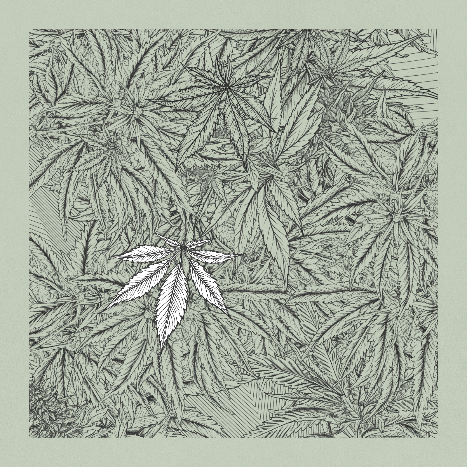 zancannabis #364 static NFT preview