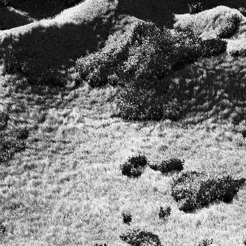 California Hills in Late Sun #17 static NFT preview