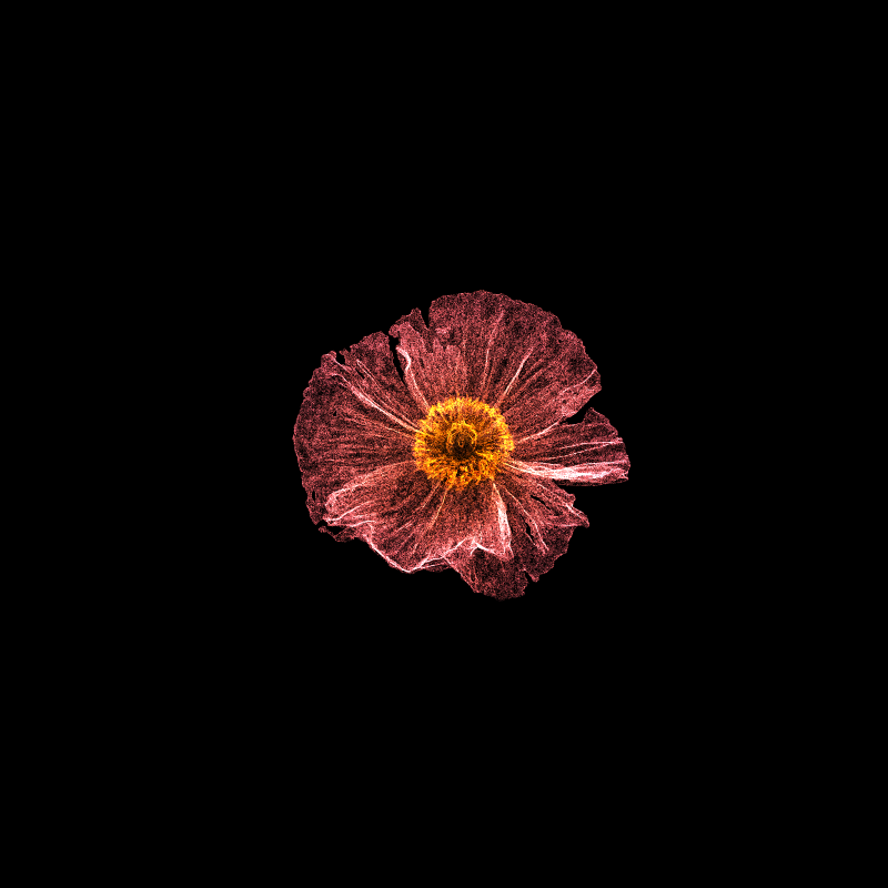 White Poppy 30 #159 static token preview