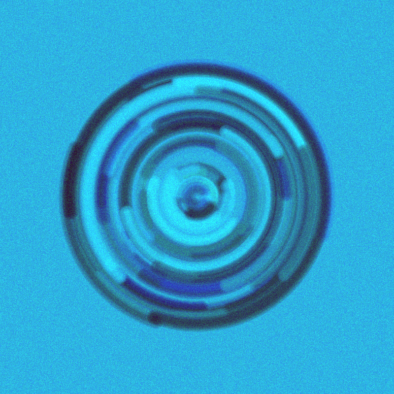 Wisp #199 static token preview