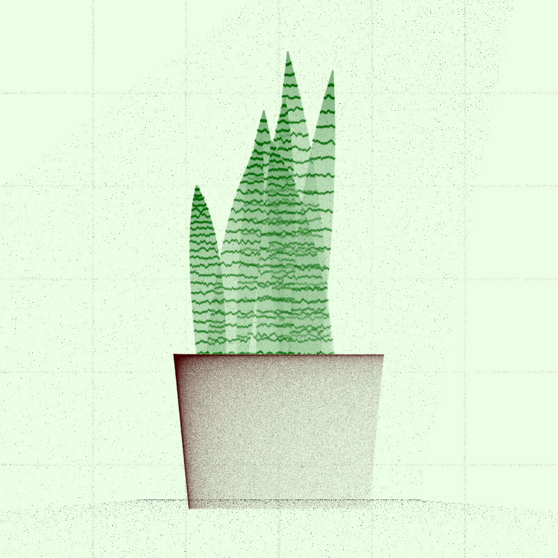🌱 Potted & Printed #172 static token preview