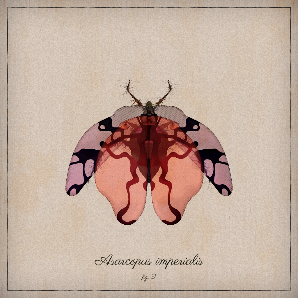 ProcGen Entomology #388 static NFT preview