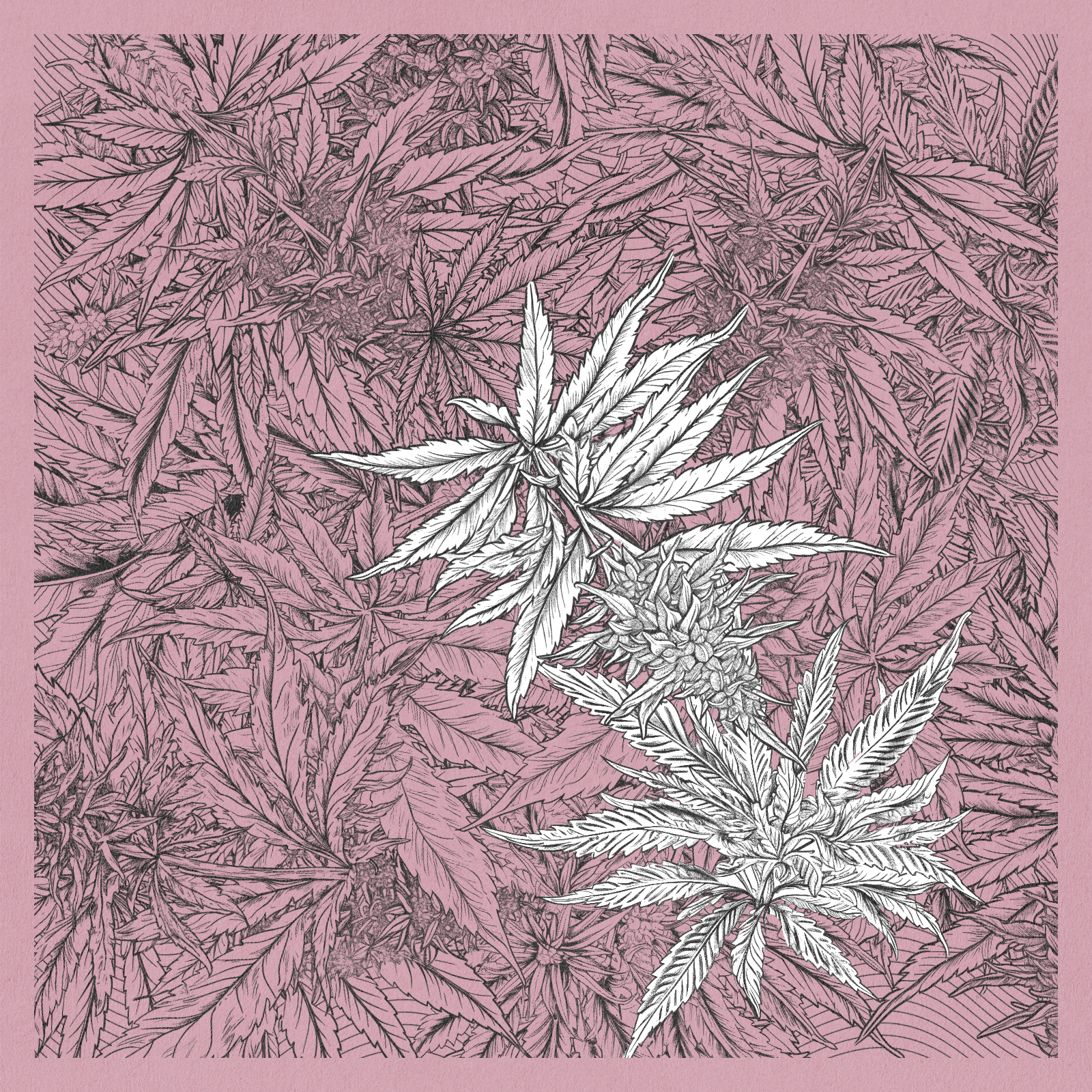 zancannabis #45 static NFT preview