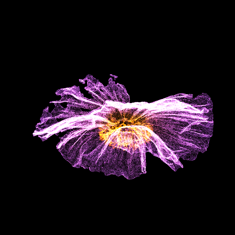 White Poppy 30 #140 static token preview