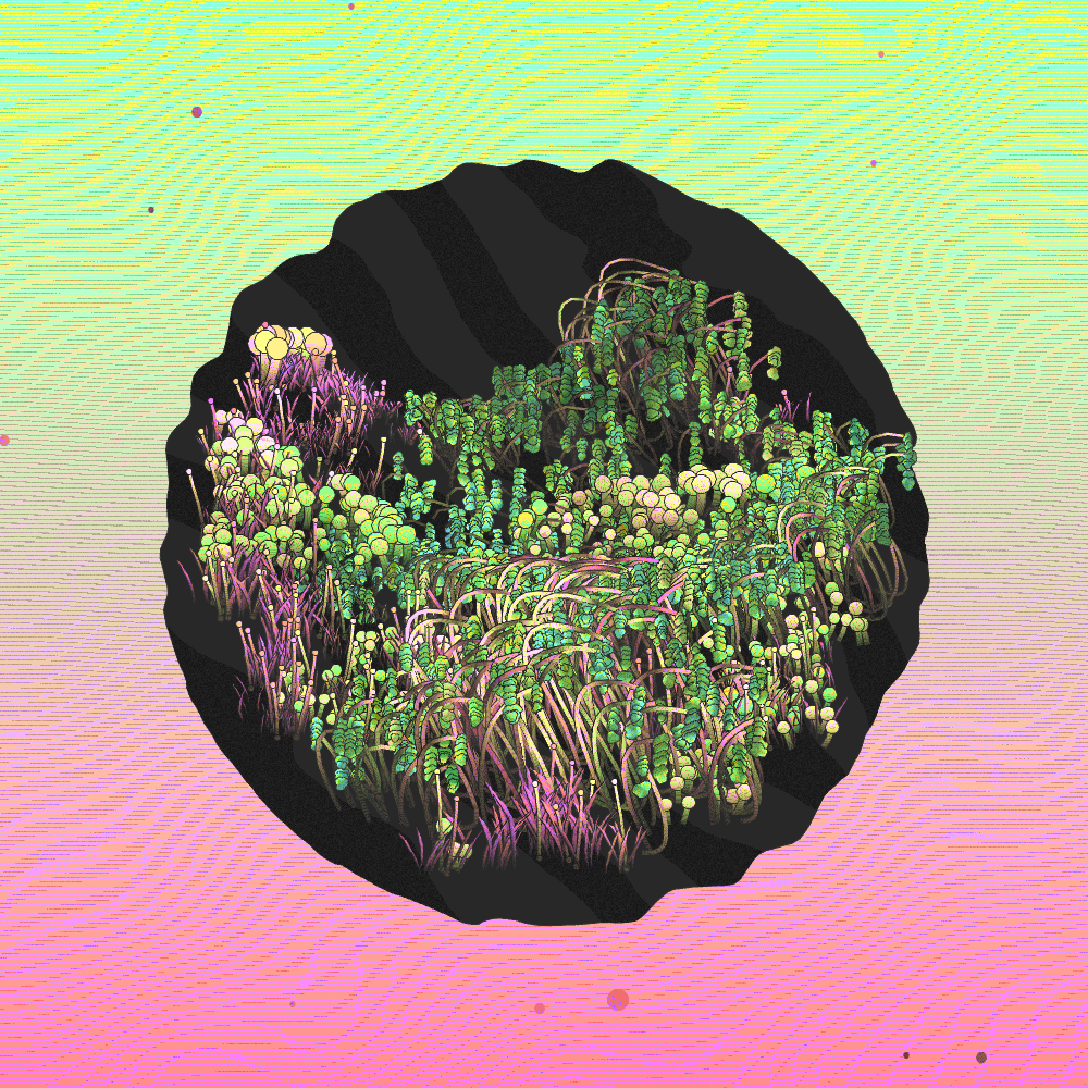 A Gift of Nature #199 static NFT preview