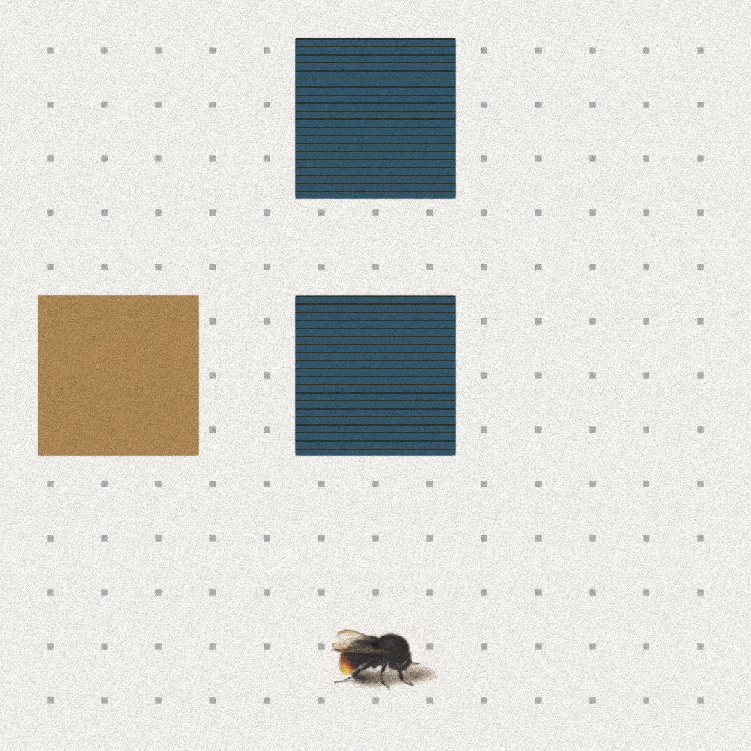 Bee #63 static token preview