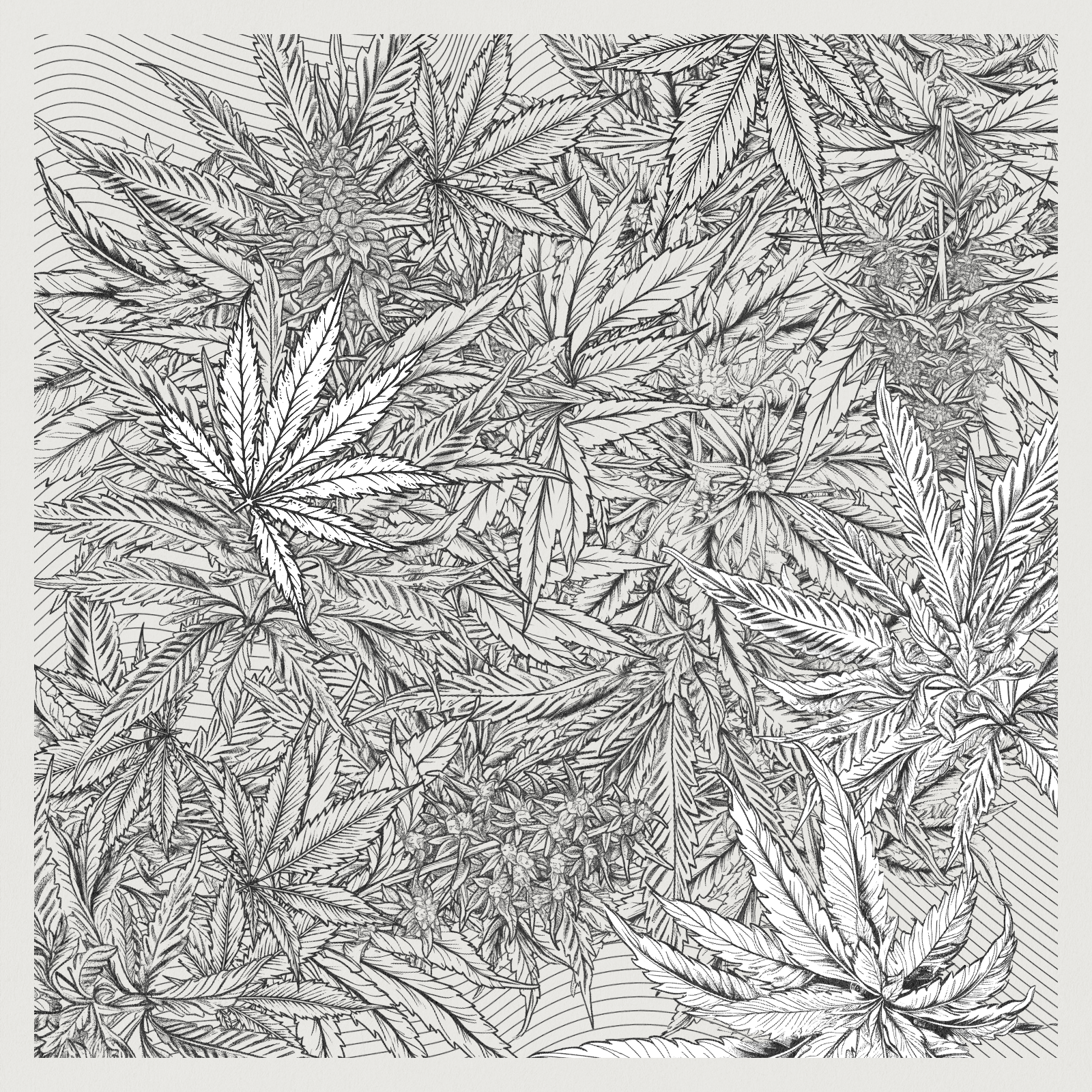 zancannabis #213 static NFT preview