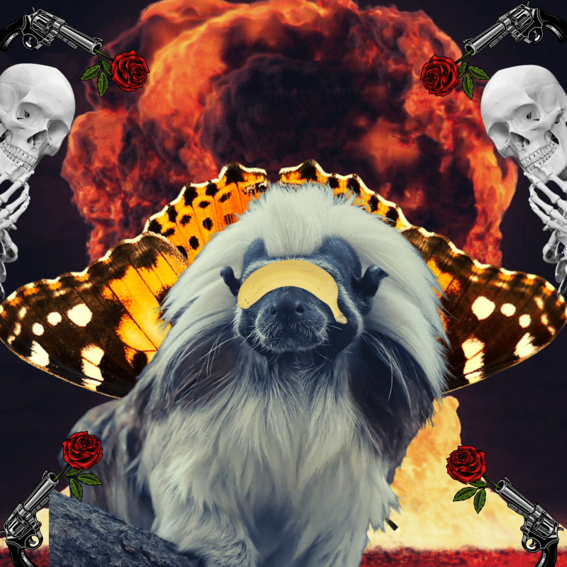 Blinded apes #43 static NFT preview