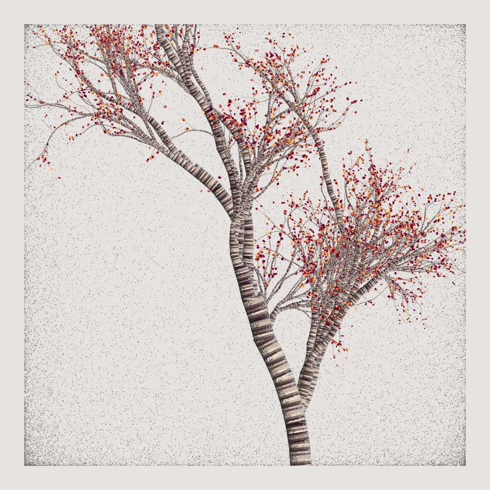Bougainvillea #77 static NFT preview