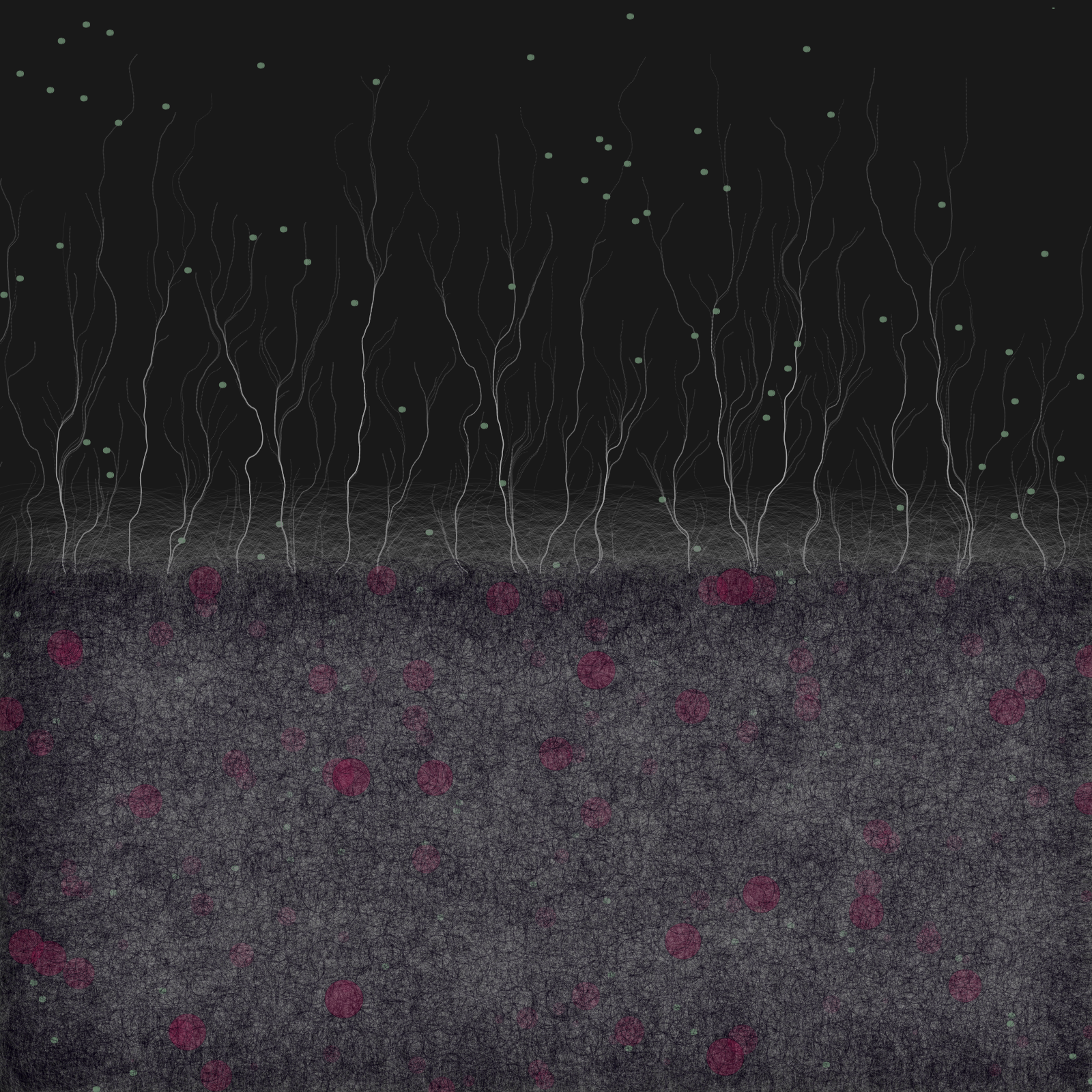 branches #43 static NFT preview