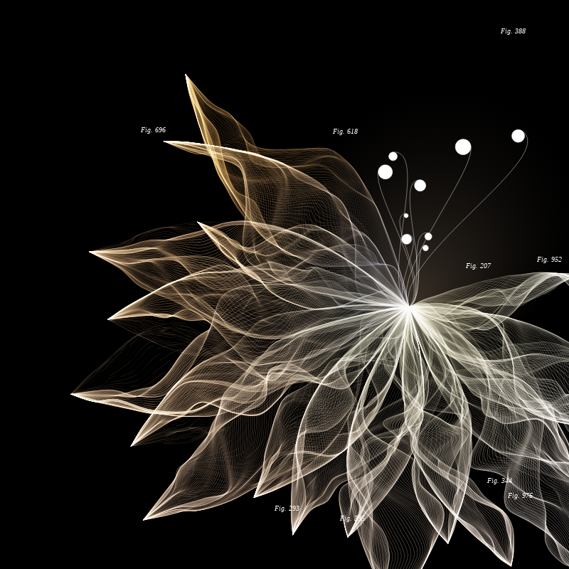 Herbarium #1063 static NFT preview