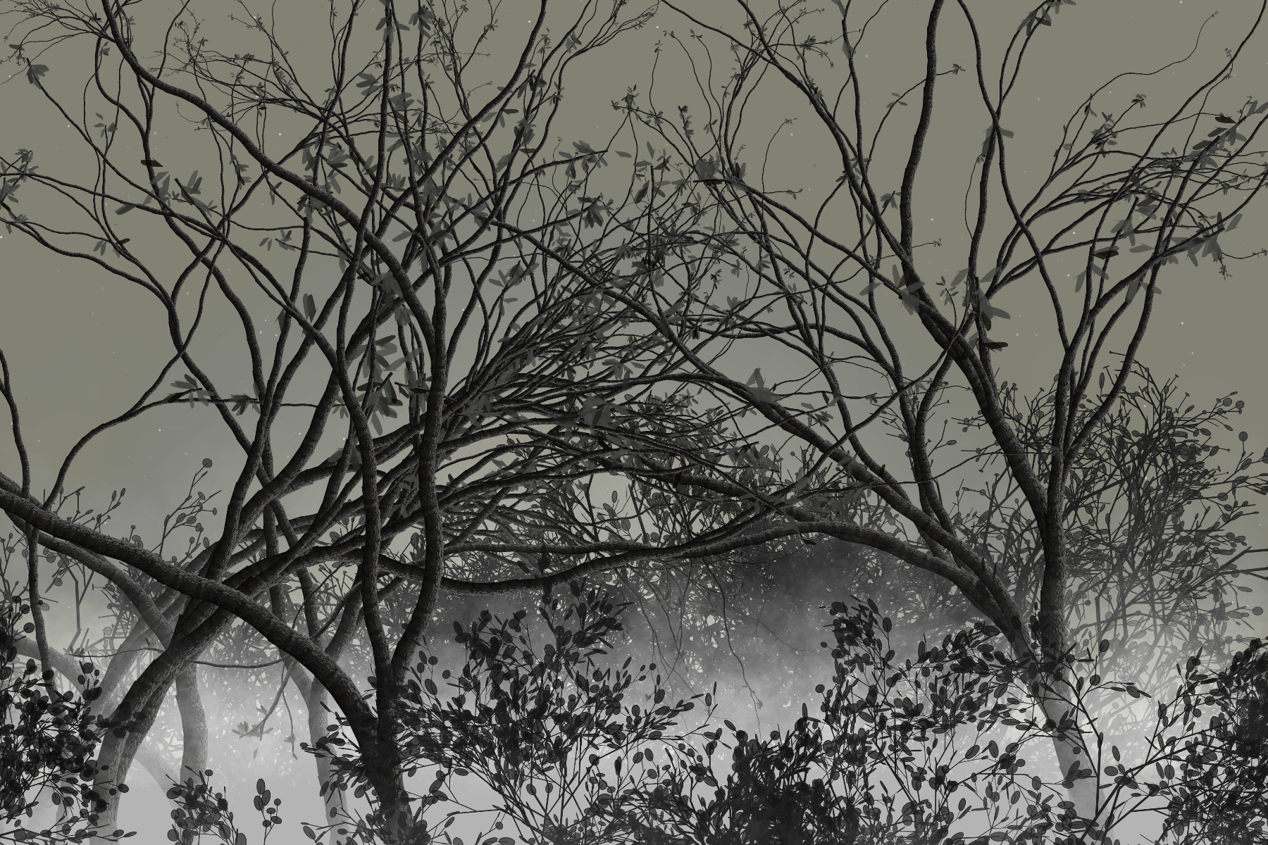 Morning Mist #186 static token preview