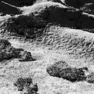 California Hills in Late Sun project preview