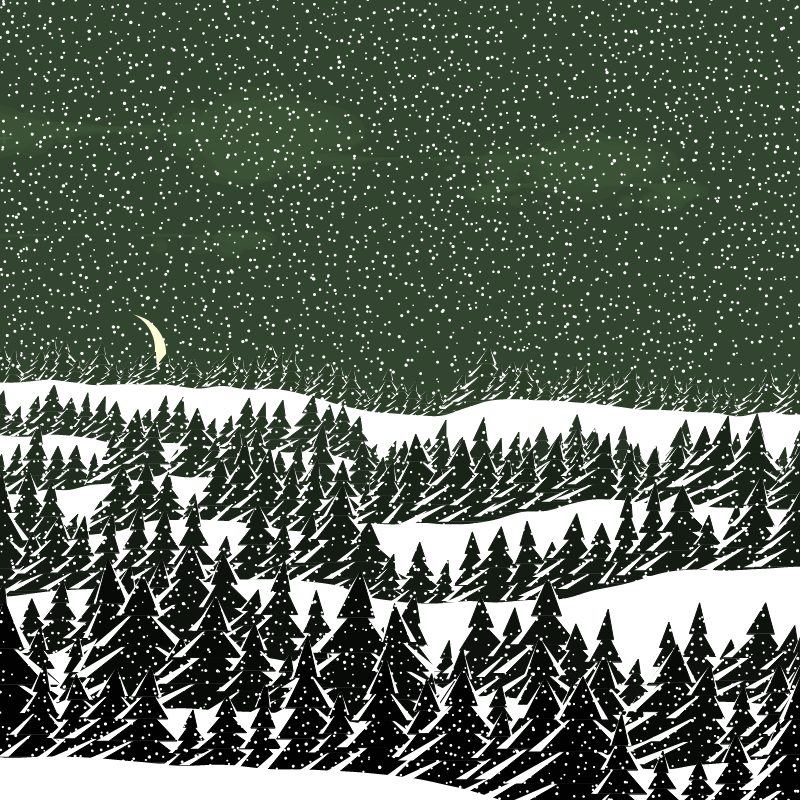 Winterland #239 static token preview