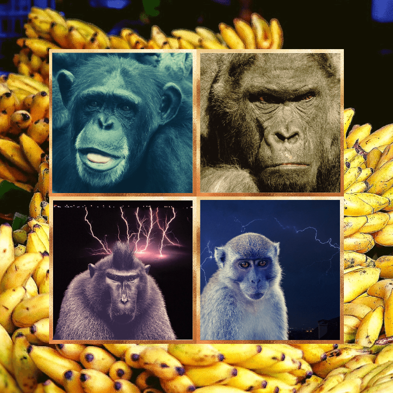 Banana legends #46 static NFT preview