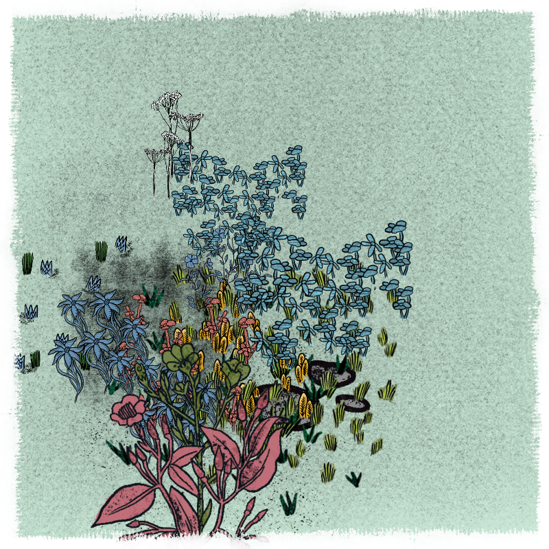 Gardens #116 static NFT preview