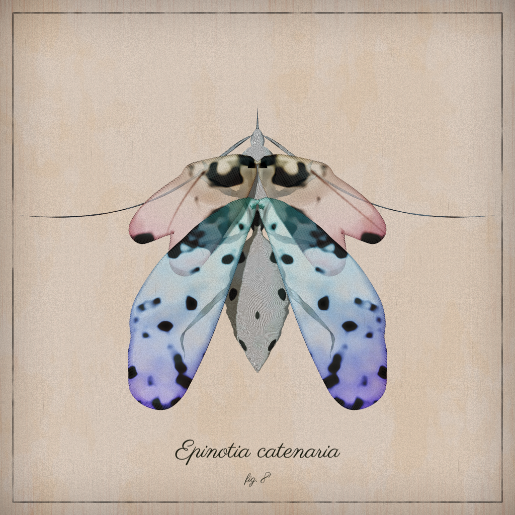 ProcGen Entomology #288 static NFT preview