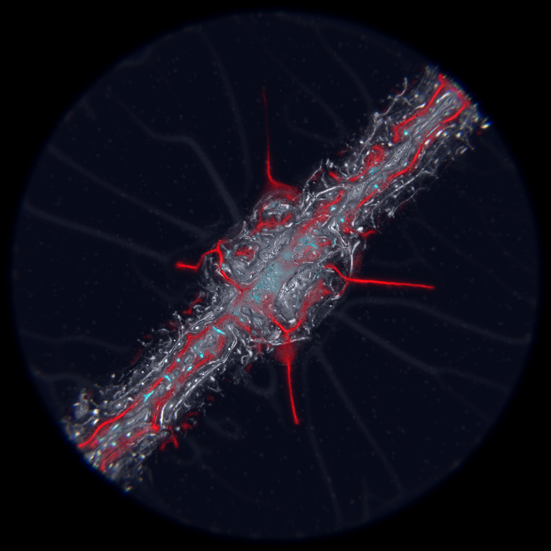 Ethereal Microcosm #172 static NFT preview