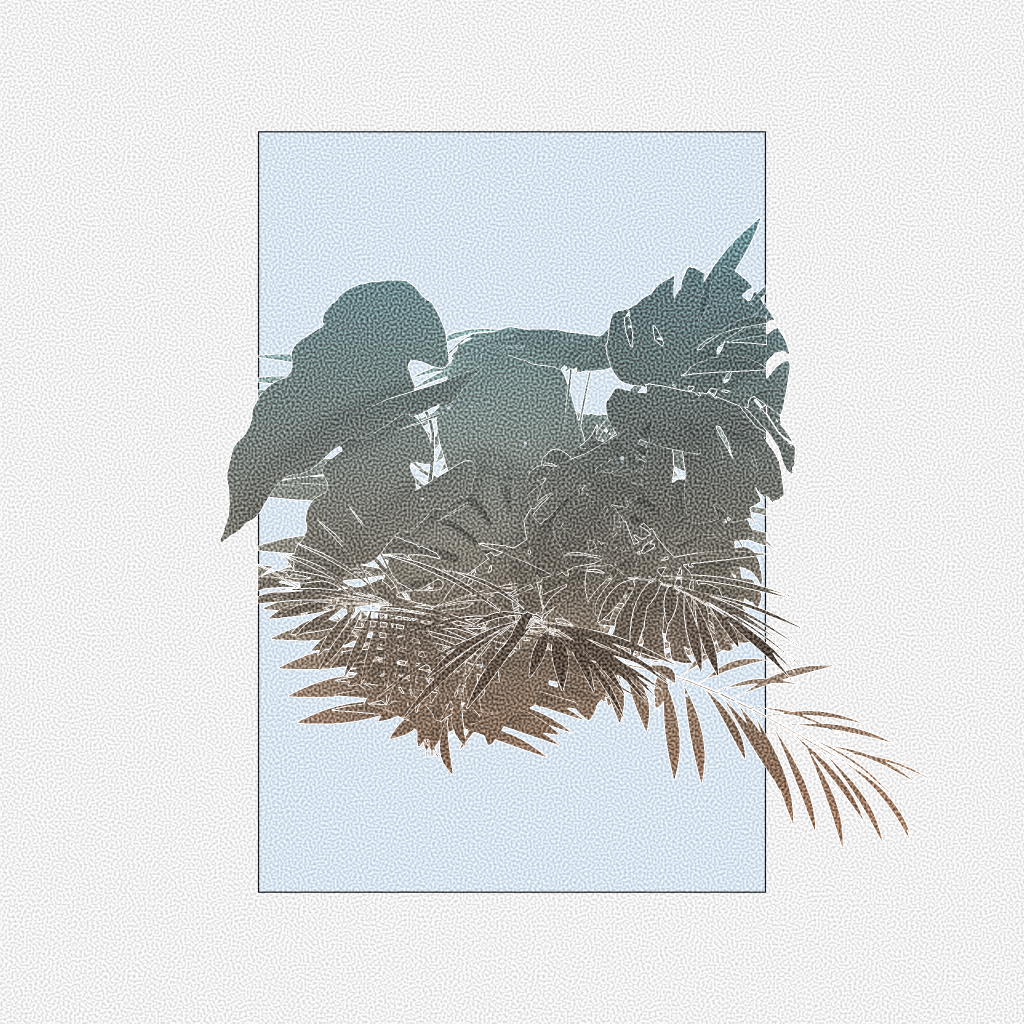 Botany #216 static token preview