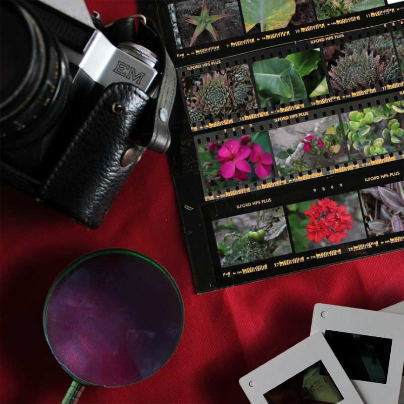 Contact Sheet #21 static token preview