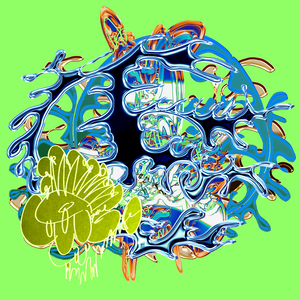 RABBIT HOL3 SPIN CYCL3 PART III project preview