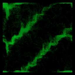 Photosynthesis project preview
