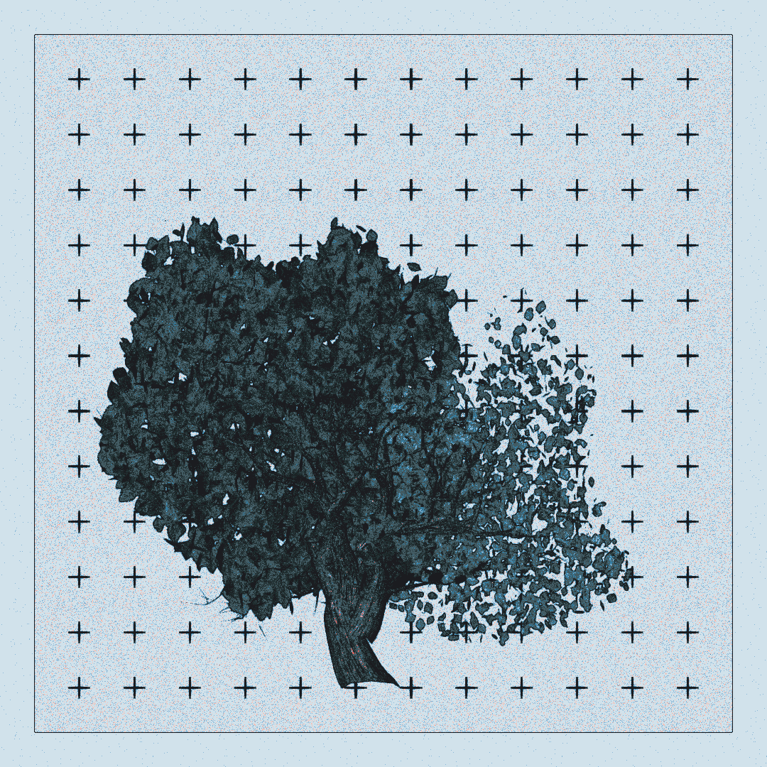 _argania[primaria] #282 static NFT preview